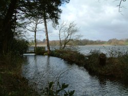 Picture of the small stream connecting to Budworth Mere, Great Budworth, Cheshire Wallpaper