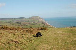 Towards Golden Cap, Charmouth Wallpaper