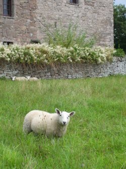 Huntingtower Castle near Perth, Perthshire