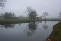Serpentine Lake, Hylands park, Chelmsford, Essex. early morning