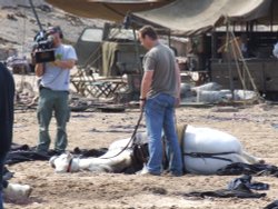 A picture of Redcar Wallpaper