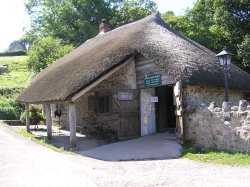 A picture of Branscombe Wallpaper