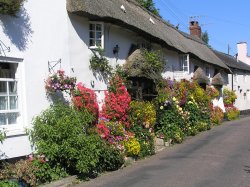 A picture of Branscombe Wallpaper