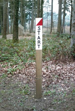 Forest of Dean