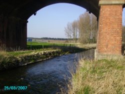 A picture of Manton Wallpaper