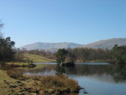 Tarn Hows, Cumbria Wallpaper