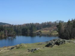 Tarn Hows in Cumbria Wallpaper