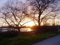 Attenborough nature reserve, Attenborough, Nottinghamshire. Wallpaper