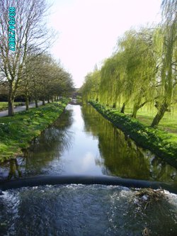 Kings Park in Retford, Nottinghamshire.
Chesterfield Canal runs through the centre of the park.