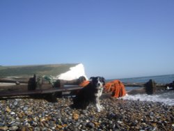 Seven Sister Country Park, East Sussex