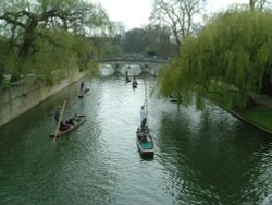 Punting on river Cam, University of Cambridge