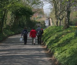 Walkers in Kersoe Lane heading back into the village.
Kersoe lane, Elmley Castle, Worcs.