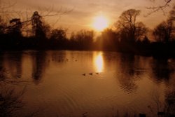 Lake in Danbury Park, Chelmsford, Essex, at dusk Wallpaper