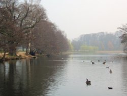 The Lake at Wollaton Park in Nottingham Wallpaper