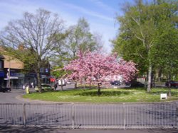 view of traffic island, the green, Long Eaton, Derbyshire. Wallpaper