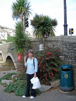 Palm Trees...In England!! Looe, Cornwall