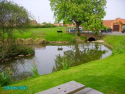 A seriously deep pond in the grounds of the pub in Sturton le Steeple in Nottinghamshire. - 