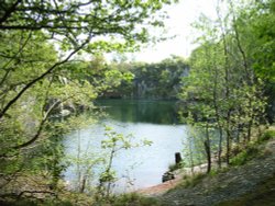 Swithland Woods, Leicestershire Wallpaper