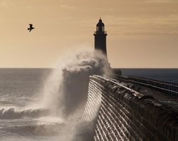 Tynemouth Pier, Tynemouth, Tyne & Wear Wallpaper