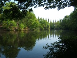 Lymm, Cheshire