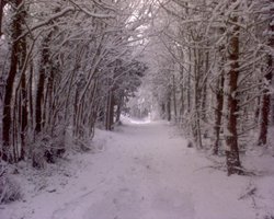 A picture of Potton