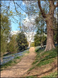 A picture of Emmetts Garden