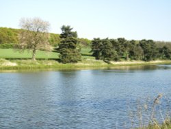 Thornton Reservoir, Leicestershire