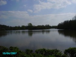 A picture of Rufford Abbey Wallpaper