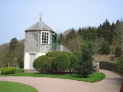 RHS Garden Rosemoor, Great Torrington, North Devon. April 2007. Wallpaper