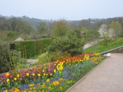 RHS Garden Rosemoor, Great Torrington, North Devon. April 2007. Wallpaper