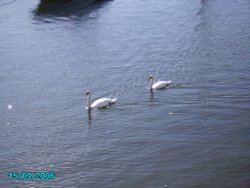 Porthmadog in Wales Wallpaper
