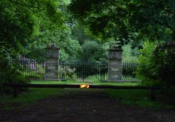 A picture of Clumber Country Park Wallpaper