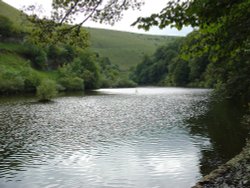 River Wye, Cressbrook, Derbyshire