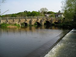 Tilford, Surrey Wallpaper