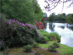 Sheffield Park, East Sussex