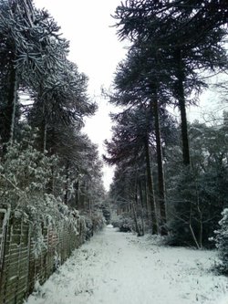 Leighton Buzzard