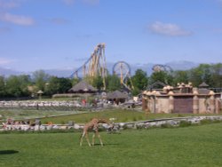 Flamingo Land Theme Park & Zoo, Kirby Misperton, North Yorkshire. Wallpaper