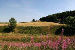 Withnell Views