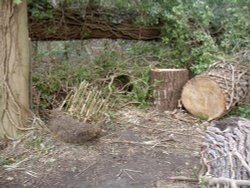 The C S Lewis Reserve Wallpaper