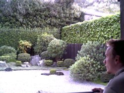 The Zen garden at Dartington hall, Devon Wallpaper