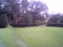 the outside theatre space at Dartington hall, Devon Wallpaper