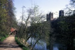 The River Wear and Durham Cathedral from the riverside path Wallpaper