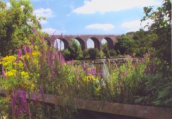 Reddish, Greater Manchester Wallpaper