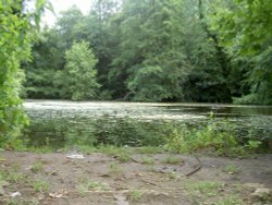 C S Lewis Reserve, Risinghurst, Oxford Wallpaper