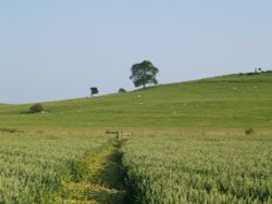 Country walk near Quainton Wallpaper