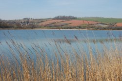 Slapton Ley, Torcross, Devon