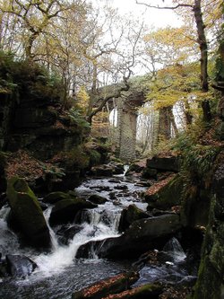Healey Dell, Whitworth, Lancashire