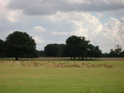 Holkham Hall Gardens - Norfolk Wallpaper