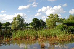 Hide at Sevenoaks Wildfowl Reserve Wallpaper