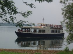 The Rutland Belle Wallpaper